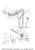 Yamaha Clamp (6E5) | 90464-07M06-00