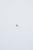 Yamaha Ball | 93501-08001-00