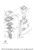 Yamaha Gasket, Upper Casing | 61A-45113-A0-00
