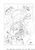 Yamaha Graphic, Front | 6CD-42677-01-00
