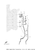 Yamaha Hose, Fitting 1 | 6GR-45394-00-00