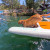 Avalon Pup Up - Dog Ramp & Dock