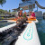 Avalon Pup Up - Dog Ramp & Dock