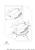 Yamaha Top Cowling W-O Graphics | 6DR-4261A-00-00