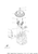 Yamaha Rotor Assembly | 6DR-85550-10-00