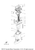 Yamaha Gasket, Upper Casing | 6H3-45114-A1-00