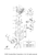 Yamaha Gasket | 6P2-13557-00-00