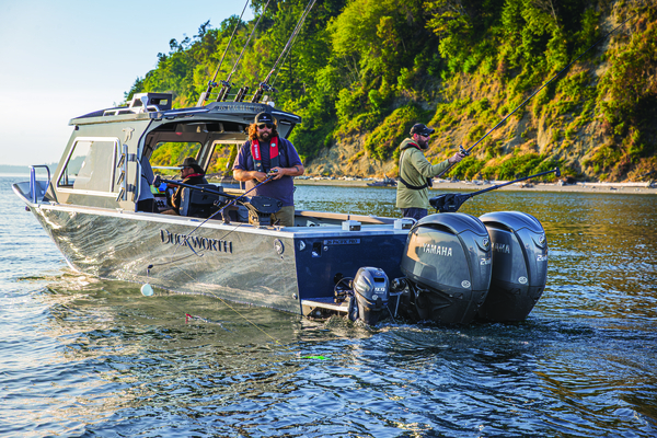 Category Video Background