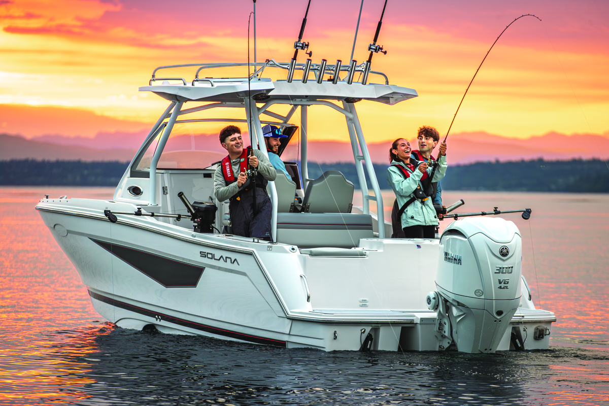 Category Video Background