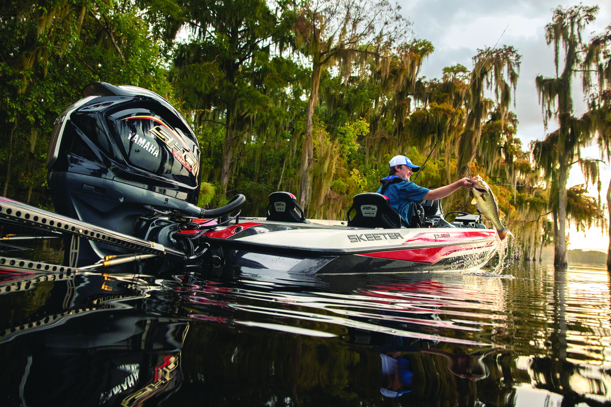 Category Video Background