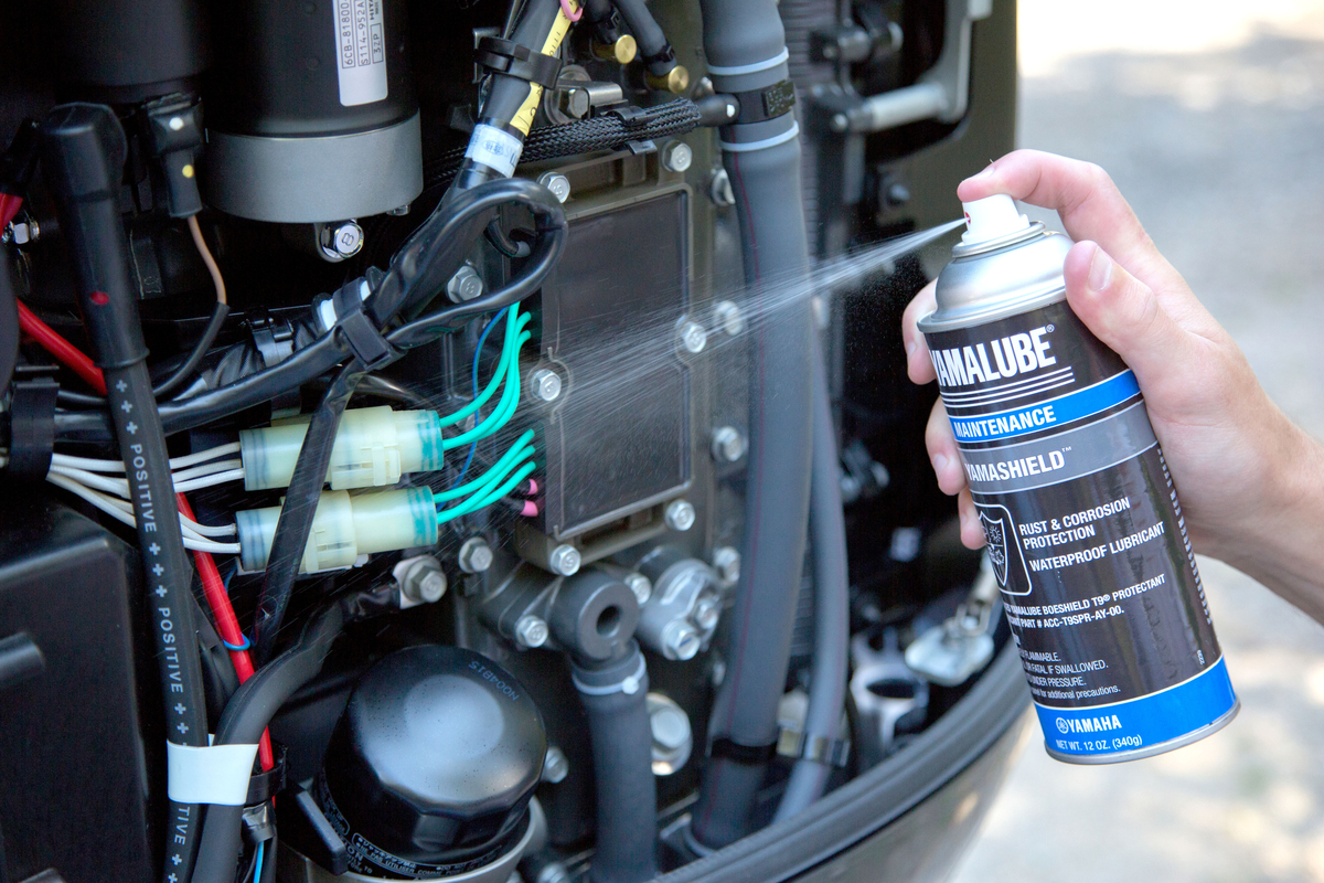 Category Video Background