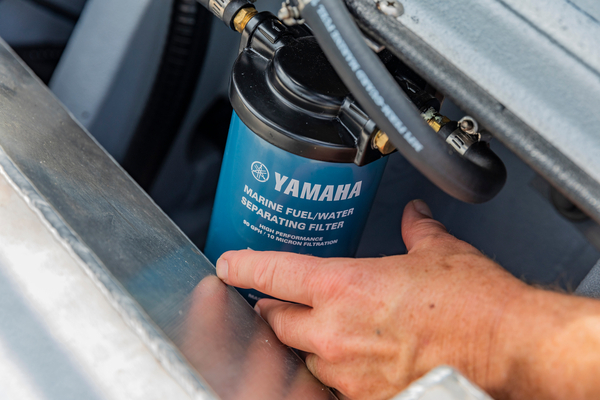 Category Video Background