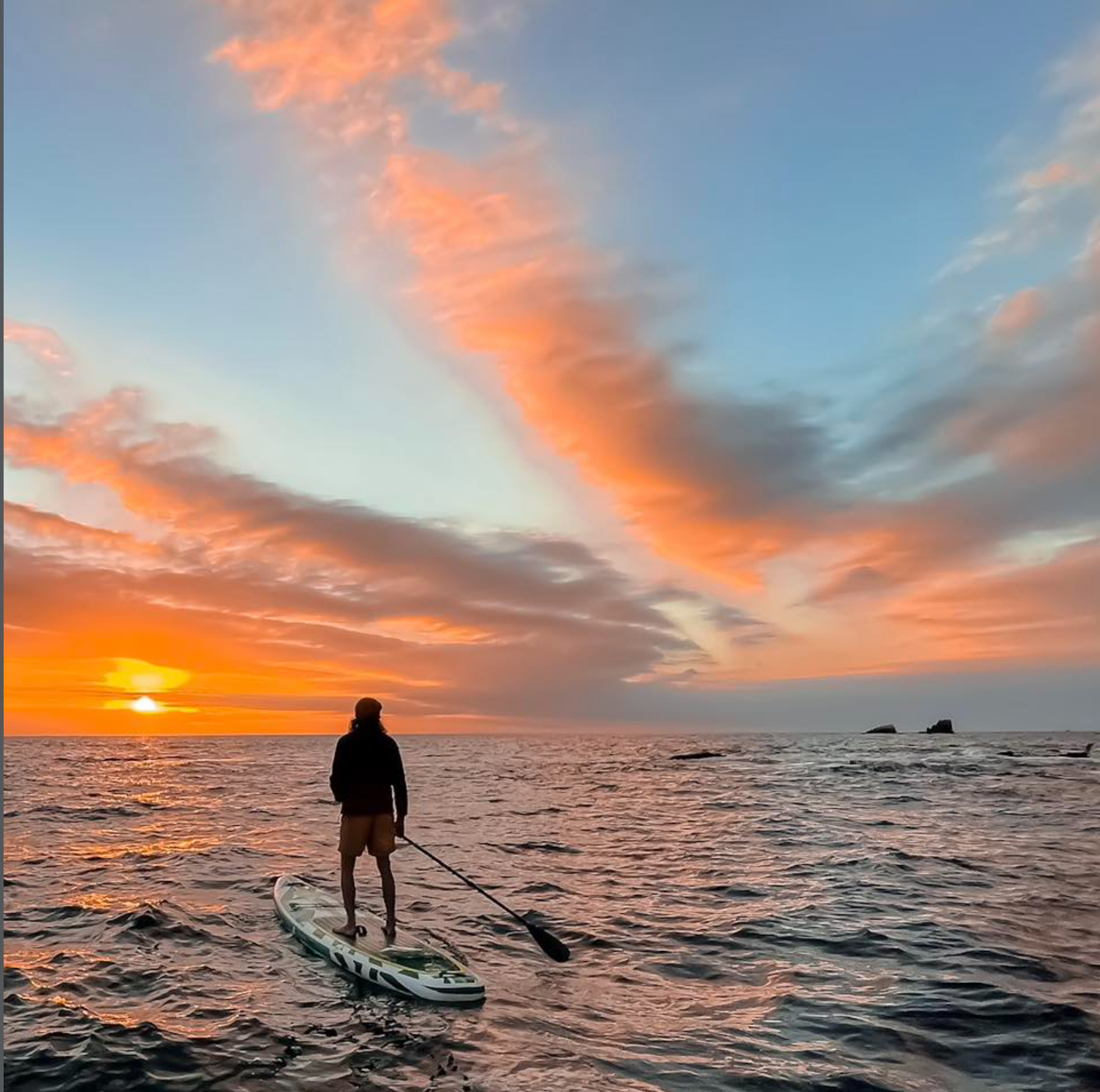 Category Video Background