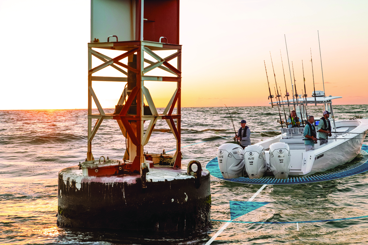 Category Video Background