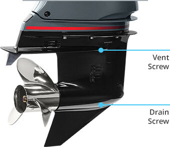 Category Video Background