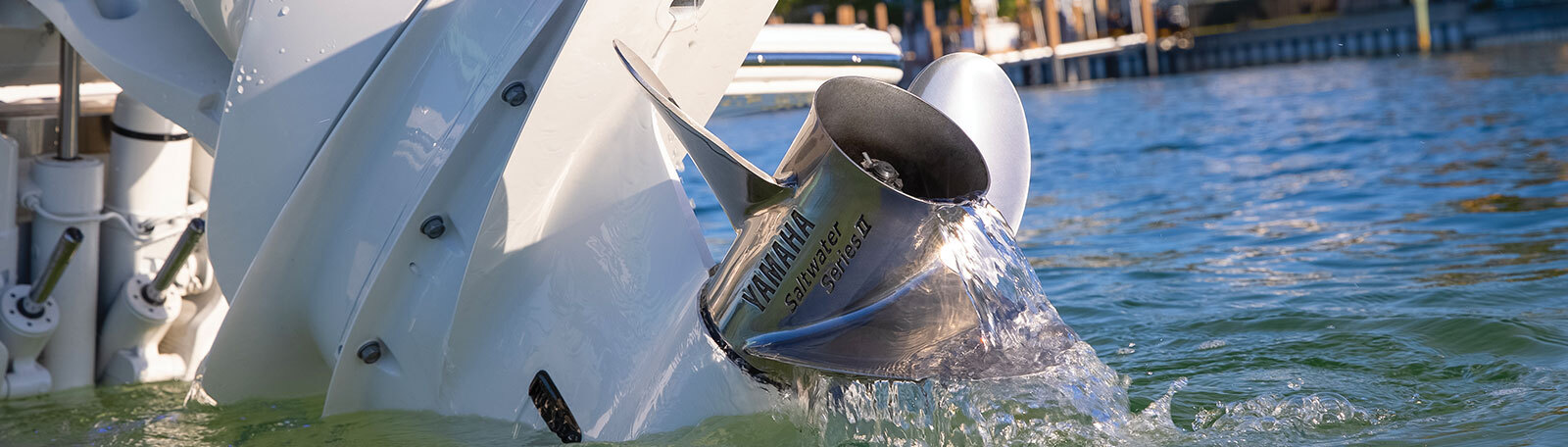 Category Video Background