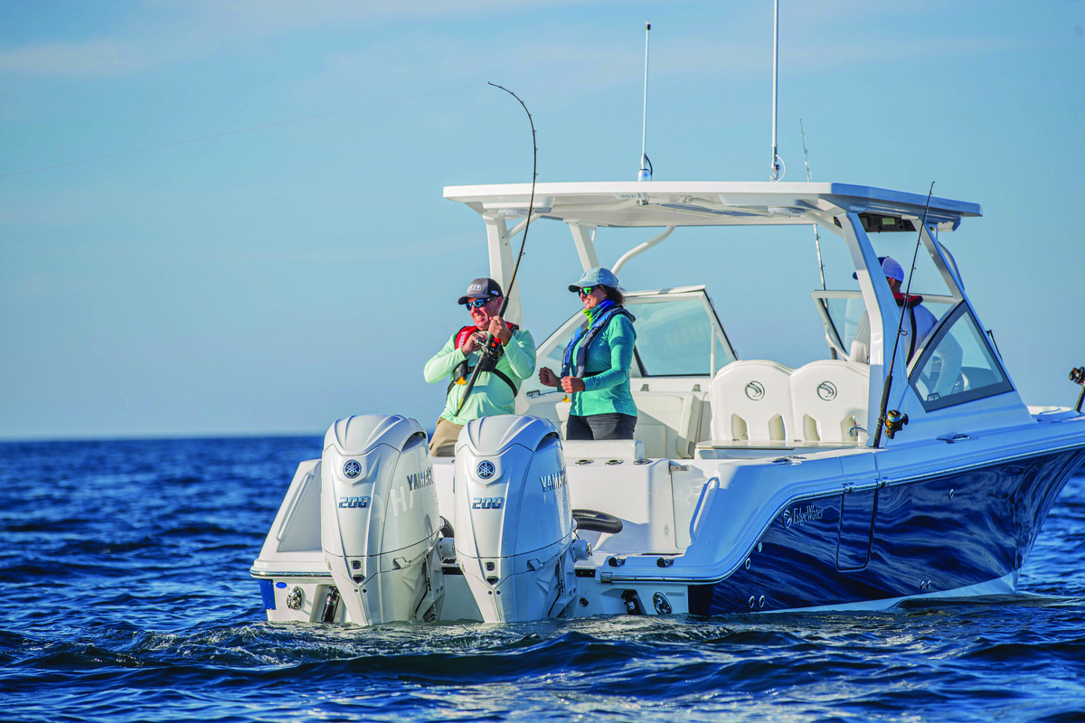 Category Video Background