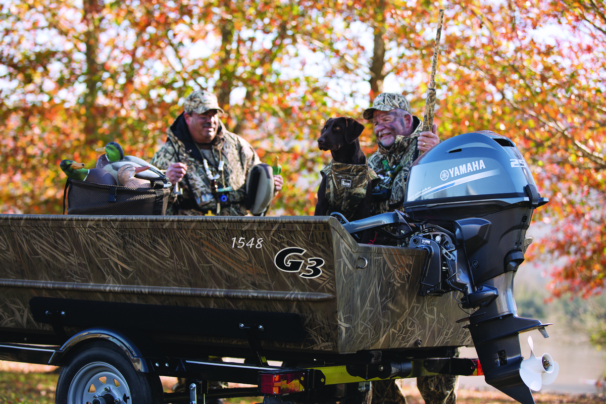 Category Video Background