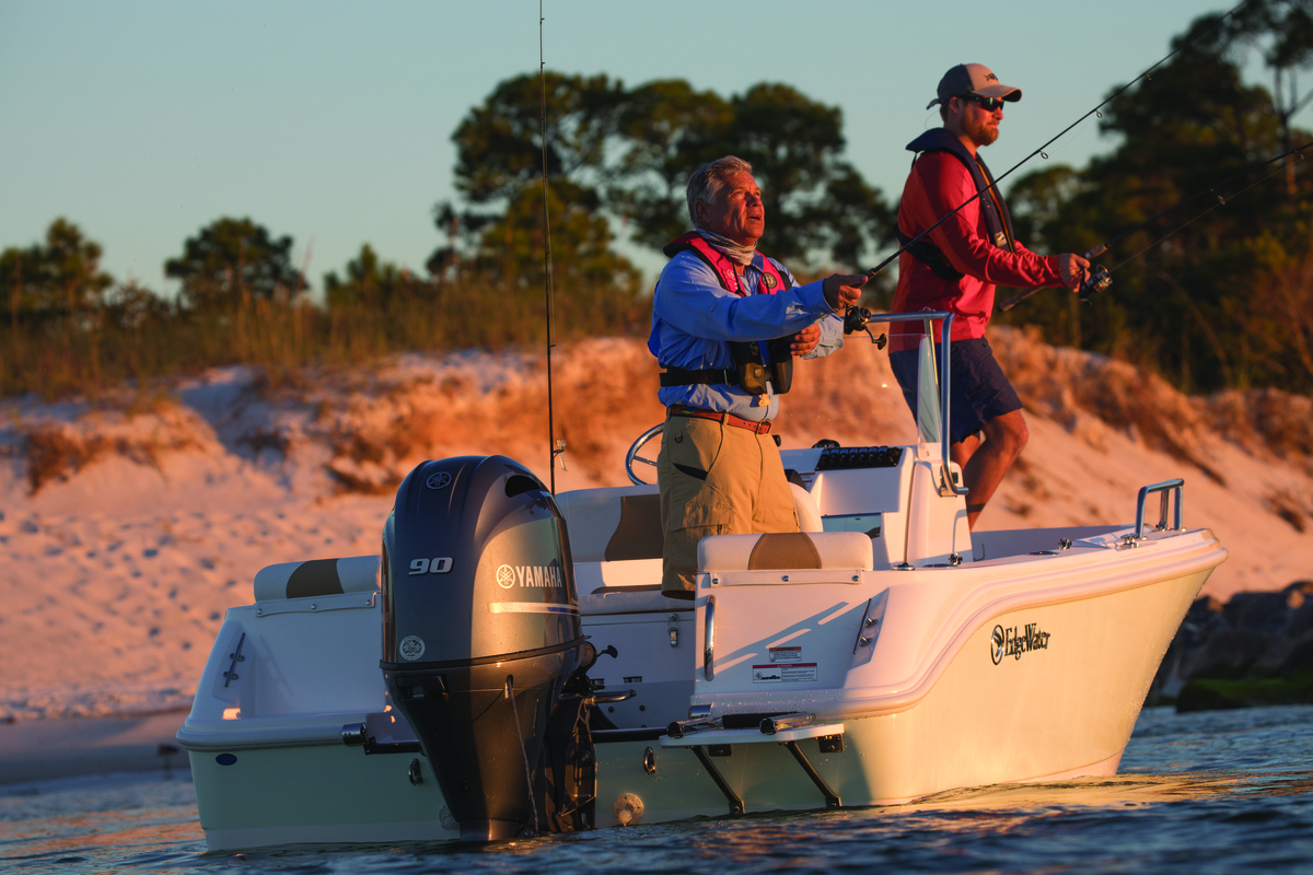 Category Video Background