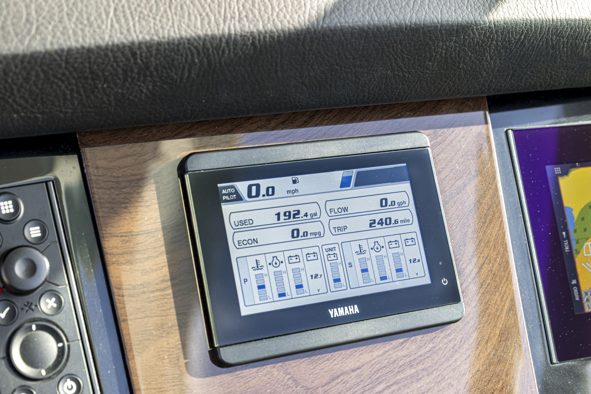 Category Video Background