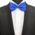 Classic royal blue bow tie on model