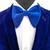Royal Blue Large Size Butterfly Bow Tie