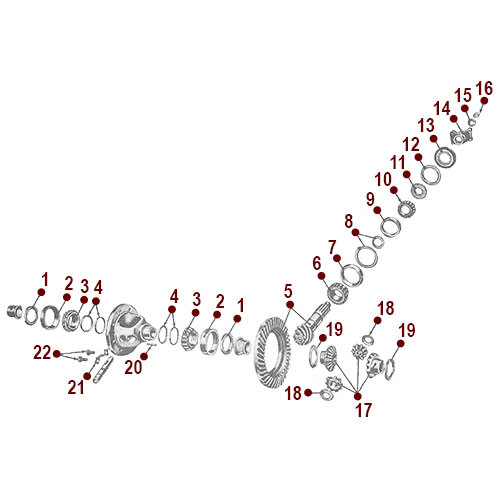 Front Axle - Differential and Gears