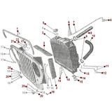 Body Diagrams - GPW