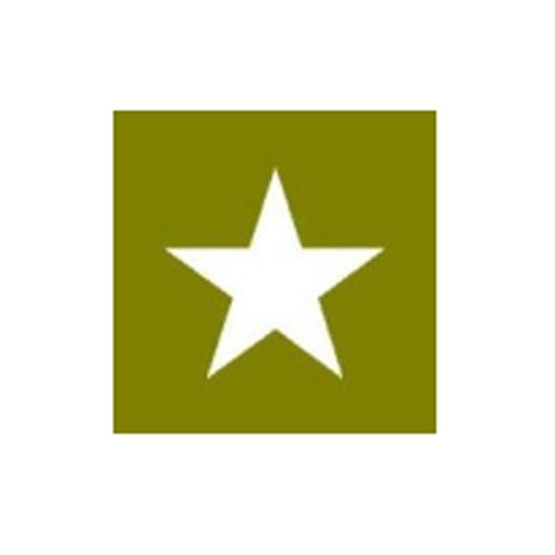 Paint Mask Stencil 12" Star Fits  41-71 Jeep & Willys