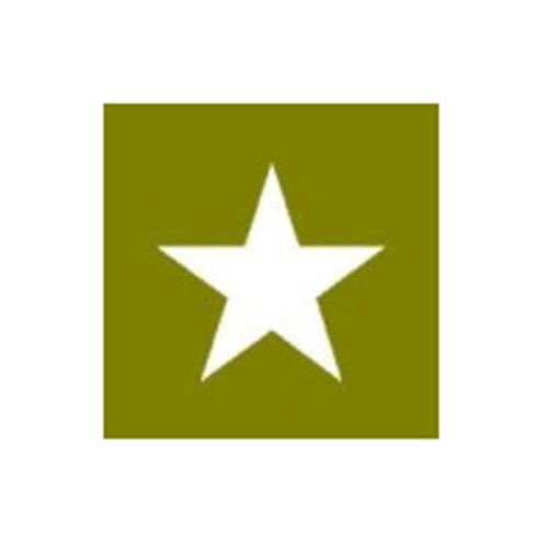 Paint Mask Stencil 4" Star Fits  41-71 Jeep & Willys