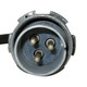 Generator to Regulator Cable (24 volt) Fits 52-62 M38A1
