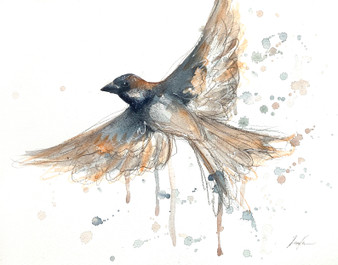 Little Sparrow Spirit (25.7 x 20.5cm)