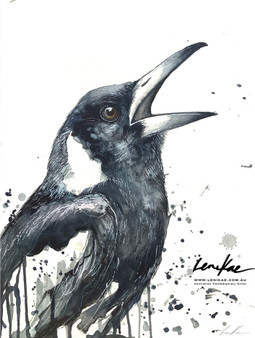 Magpie Message (31 x 41cm)