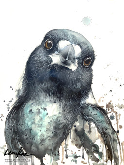 Magpie Recognition (31 x 41cm)