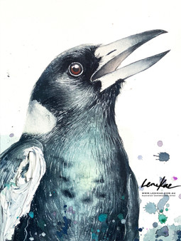 Magpie Spirit Song Remembered (31 x 41cm)