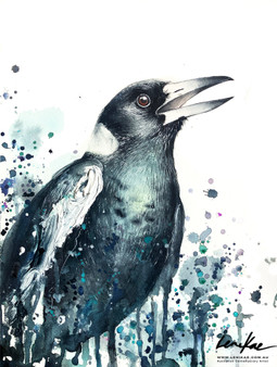 Magpie Spirit Song Remembered (31 x 41cm)