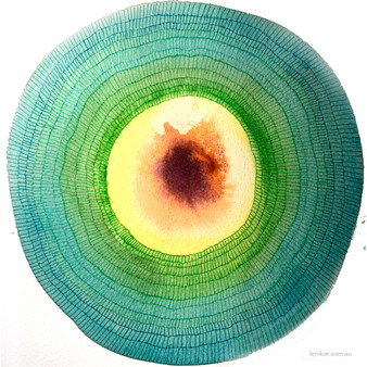 Speak Your Light Mandala - Throat & Self Expression Chakra (30x30cm framed)