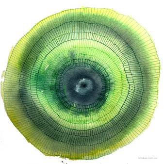 Forest Wisdom Mandala - Heart Chakra (30x30cm framed)