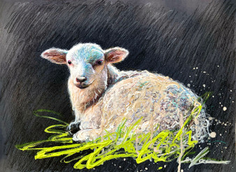 Little Lamb, Little Lamb (30x 40cm)