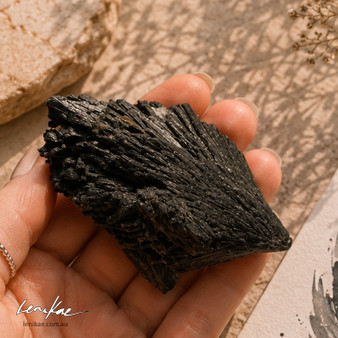 Black Kyanite Feather (7 x 5 cm)