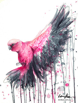 Original watercolour and mixed media painting of a pink and grey Australian Galah arriving with wings outstretched, by Sydney-based Australian artist Leni Kae.