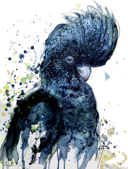 Black Cockatoo Watchful Spirit – original watercolour and mixed media portrait of an Australian Black Cockatoo with a raised crest, watchful gaze and expressive paint splashes by Leni Kae.
