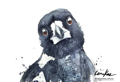 Why Are We Drawn to Certain Animals?