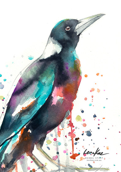 Watercolour Magpie painting by Sydney artist Leni Kae