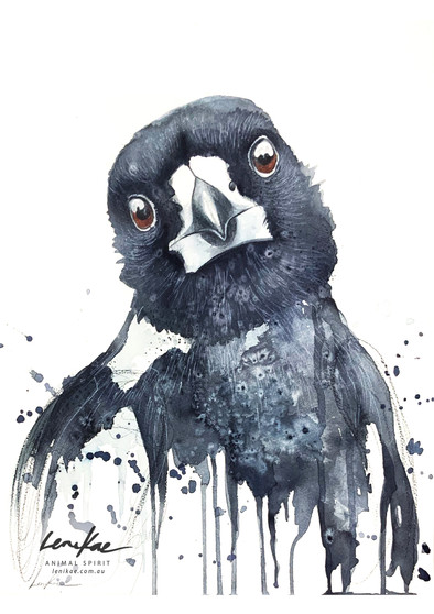 Magpie Awareness (31 x 41cm)