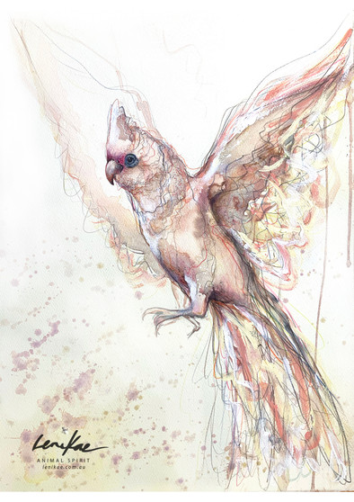 Corella Spirit (42 x 59.4cm)