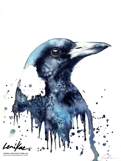 Magpie’s Gaze (31 x 41cm)