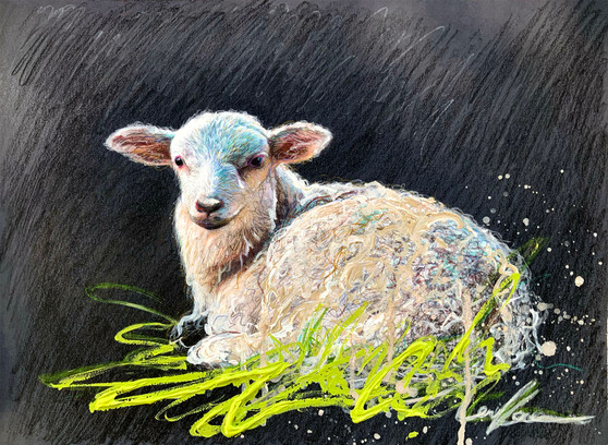 Little Lamb, Little Lamb (30x 40cm)