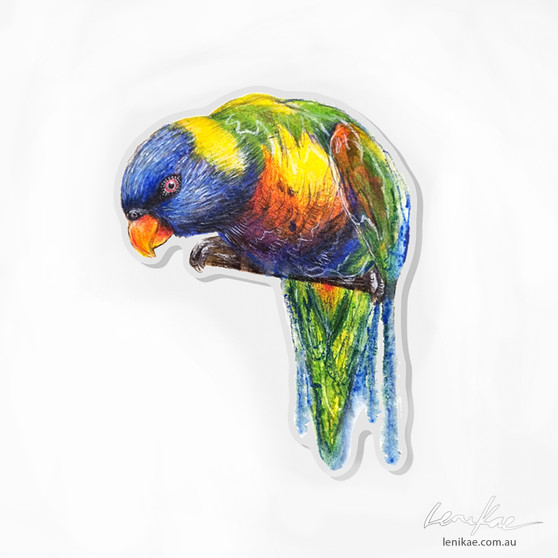 Cheeky Lorikeet Acrylic Magnet (3.7 x 5.1 cm)