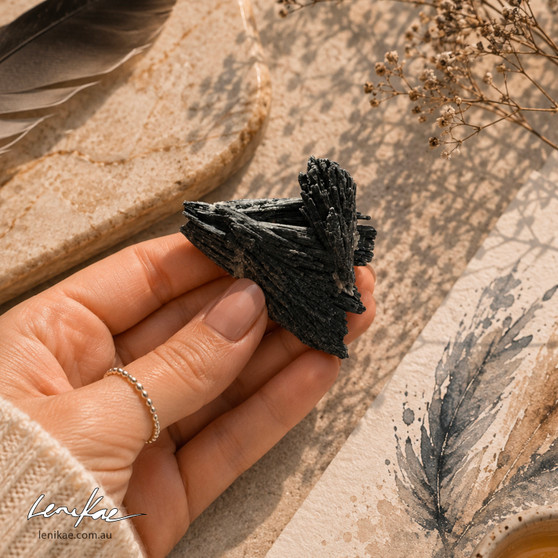 Black Kyanite Feather (5 x 5 cm)